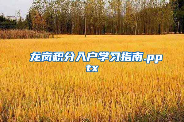 龙岗积分入户学习指南.pptx