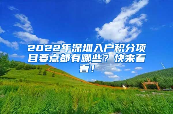 2022年深圳入户积分项目要点都有哪些？快来看看！