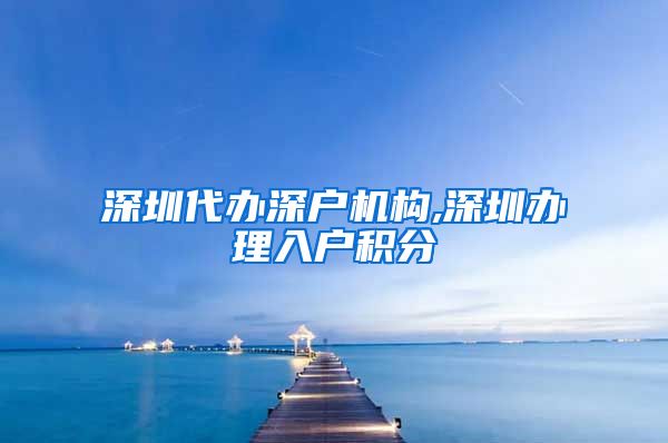 深圳代办深户机构,深圳办理入户积分