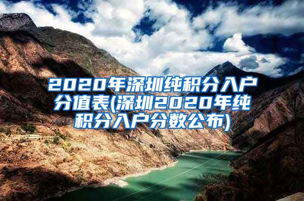 2020年深圳纯积分入户分值表(深圳2020年纯积分入户分数公布)