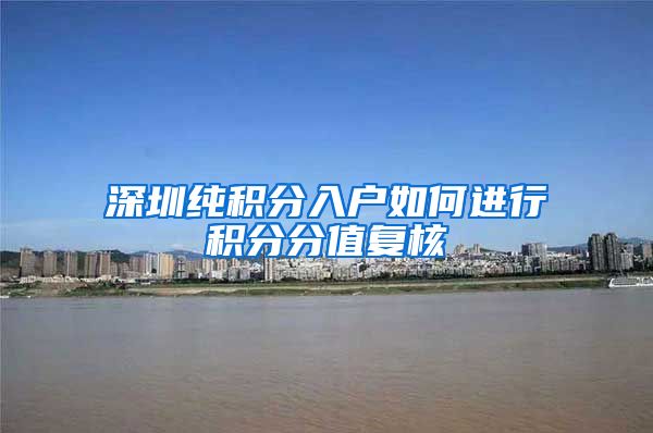 深圳纯积分入户如何进行积分分值复核