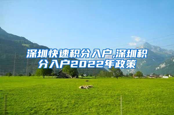 深圳快速积分入户,深圳积分入户2022年政策