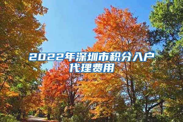 2022年深圳市积分入户代理费用