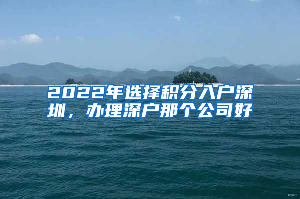 2022年选择积分入户深圳，办理深户那个公司好