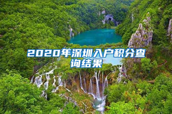 2020年深圳入户积分查询结果