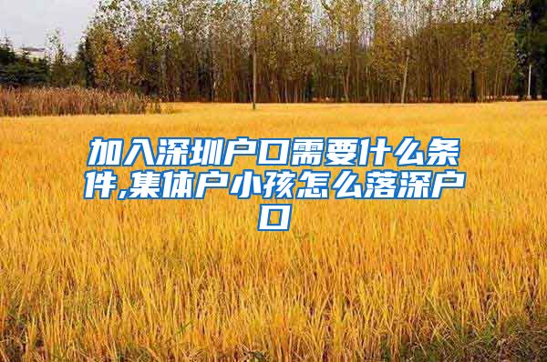 加入深圳户口需要什么条件,集体户小孩怎么落深户口