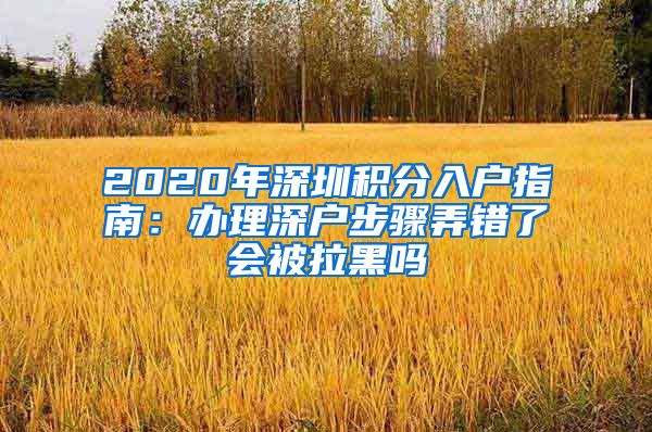 2020年深圳积分入户指南：办理深户步骤弄错了会被拉黑吗