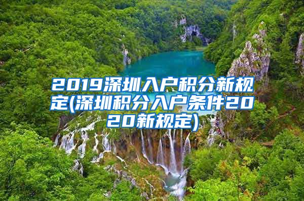 2019深圳入户积分新规定(深圳积分入户条件2020新规定)