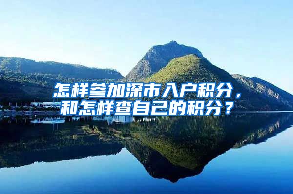 怎样参加深市入户积分，和怎样查自己的积分？