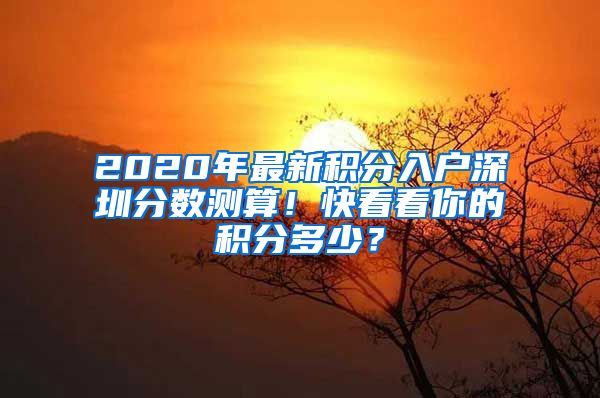 2020年最新积分入户深圳分数测算！快看看你的积分多少？