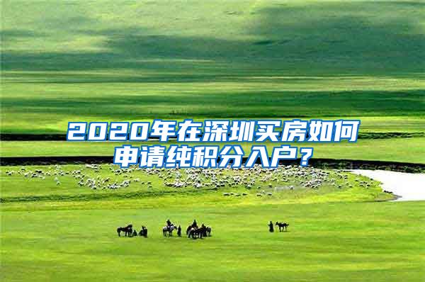 2020年在深圳买房如何申请纯积分入户？