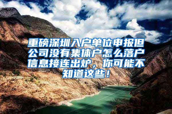 重磅深圳入户单位申报但公司没有集体户怎么落户信息接连出炉，你可能不知道这些！