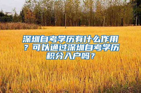 深圳自考学历有什么作用？可以通过深圳自考学历积分入户吗？