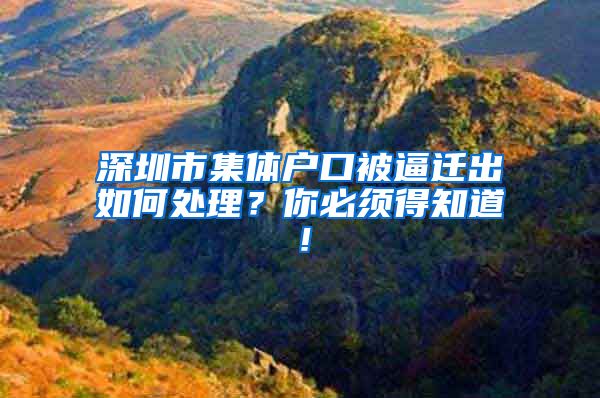 深圳市集体户口被逼迁出如何处理？你必须得知道！