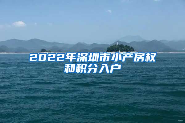 2022年深圳市小产房权和积分入户