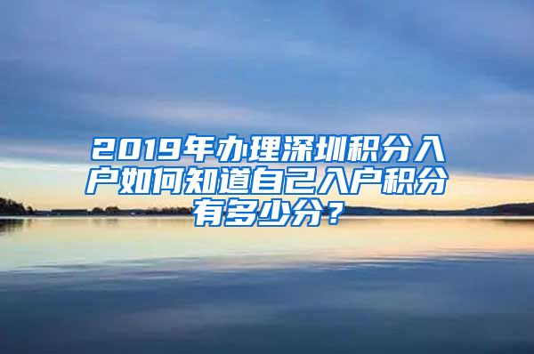 2019年办理深圳积分入户如何知道自己入户积分有多少分？