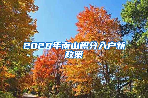 2020年南山积分入户新政策