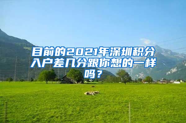 目前的2021年深圳积分入户差几分跟你想的一样吗？