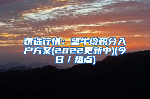 精选行情：望牛墩积分入户方案(2022更新中)(今日／热点)