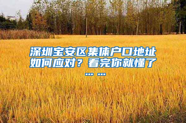 深圳宝安区集体户口地址如何应对？看完你就懂了……