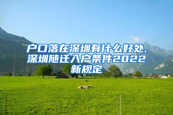 户口落在深圳有什么好处,深圳随迁入户条件2022新规定