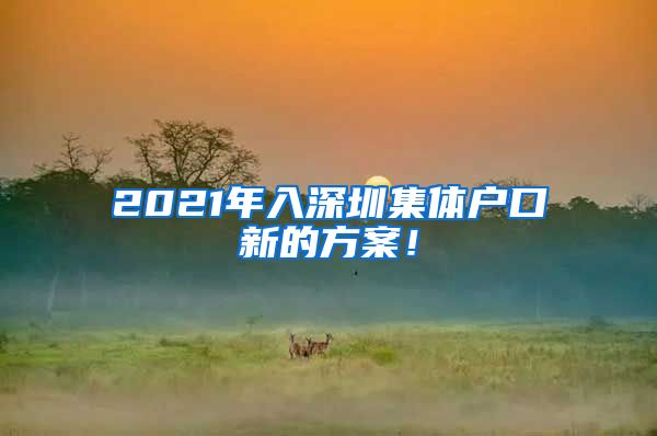 2021年入深圳集体户口新的方案！