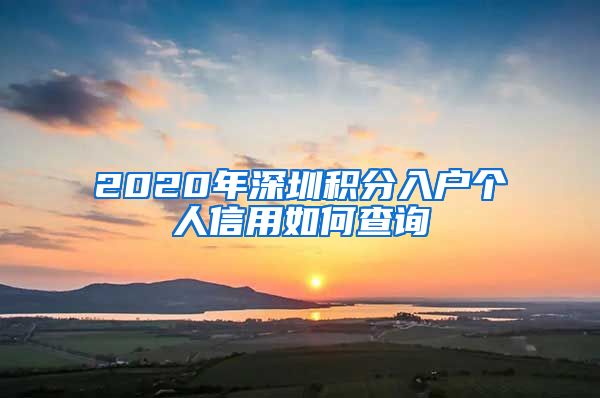 2020年深圳积分入户个人信用如何查询