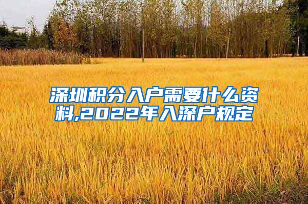 深圳积分入户需要什么资料,2022年入深户规定