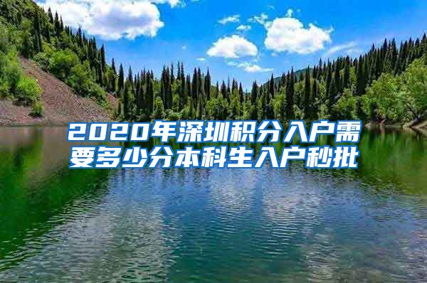 2020年深圳积分入户需要多少分本科生入户秒批