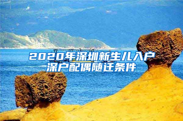 2020年深圳新生儿入户深户配偶随迁条件