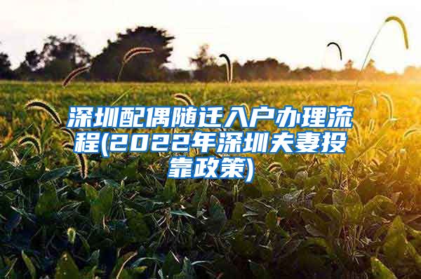 深圳配偶随迁入户办理流程(2022年深圳夫妻投靠政策)