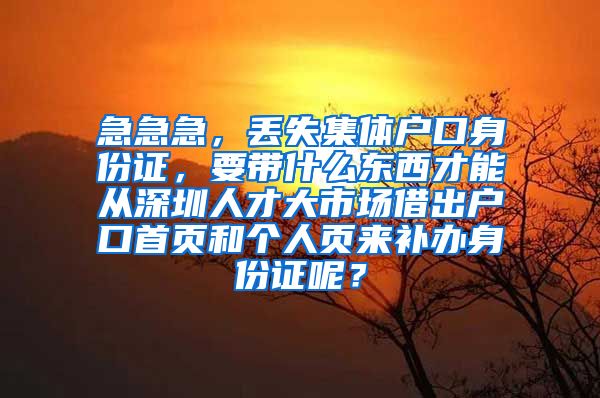 急急急，丢失集体户口身份证，要带什么东西才能从深圳人才大市场借出户口首页和个人页来补办身份证呢？