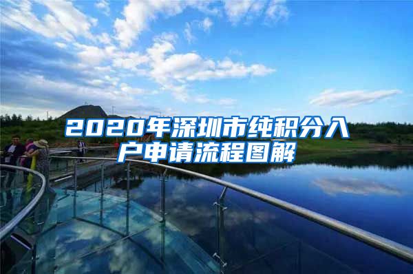 2020年深圳市纯积分入户申请流程图解