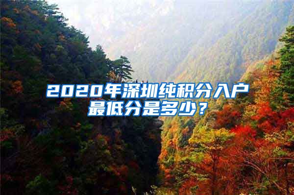 2020年深圳纯积分入户最低分是多少？