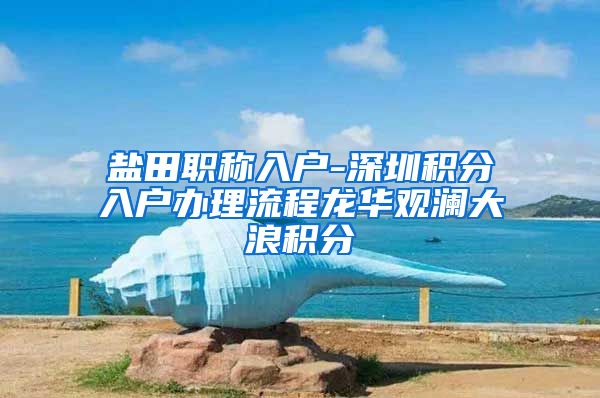 盐田职称入户-深圳积分入户办理流程龙华观澜大浪积分