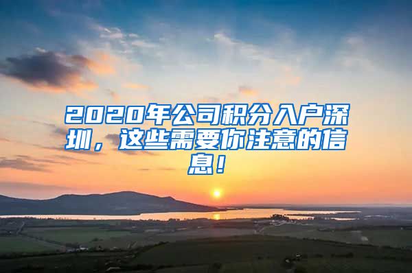 2020年公司积分入户深圳，这些需要你注意的信息！